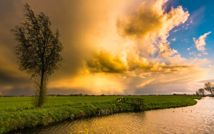 Alblasserwaard, Nederland