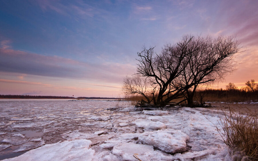 Zuid-Holland, Nederland