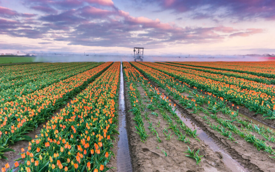Zuid-Holland, Nederland
