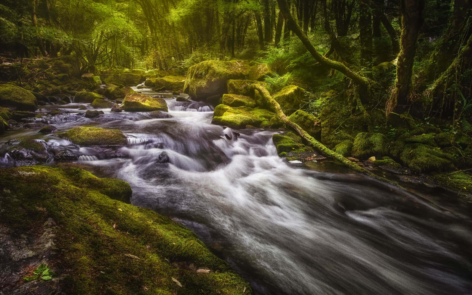 De mooie Golitha Falls midden in bos van Bodmin Moor.