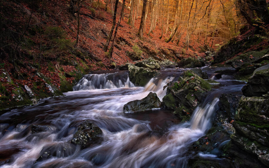 Ardennen, België