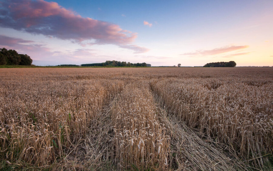 Noord-Brabant, Nederland