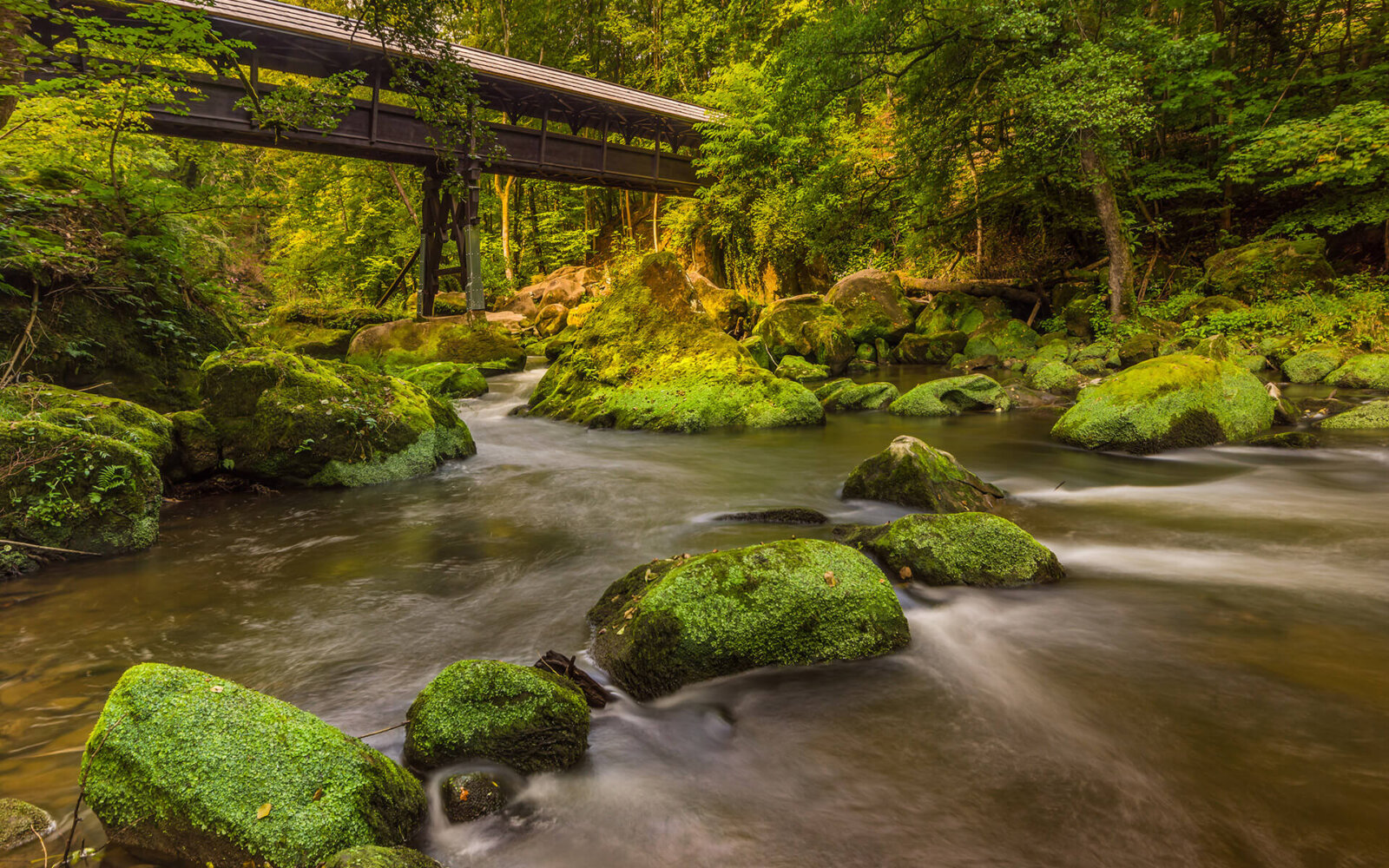 De Irrel waterval, met de iconische houten brug, bij Prüm.
