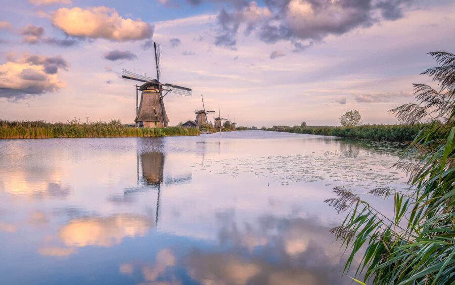 Zuid-Holland, Nederland