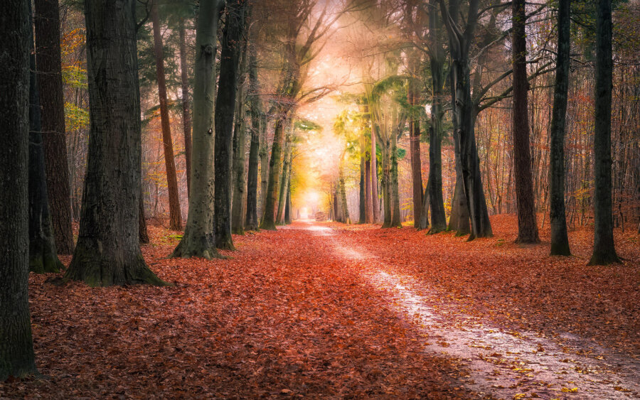 Noord-Brabant, Nederland
