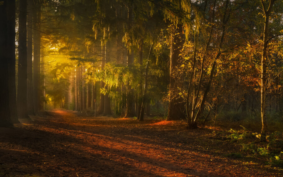 Noord-Brabant, Nederland