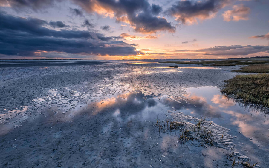 NP Oosterschelde Zeeland, Nederland