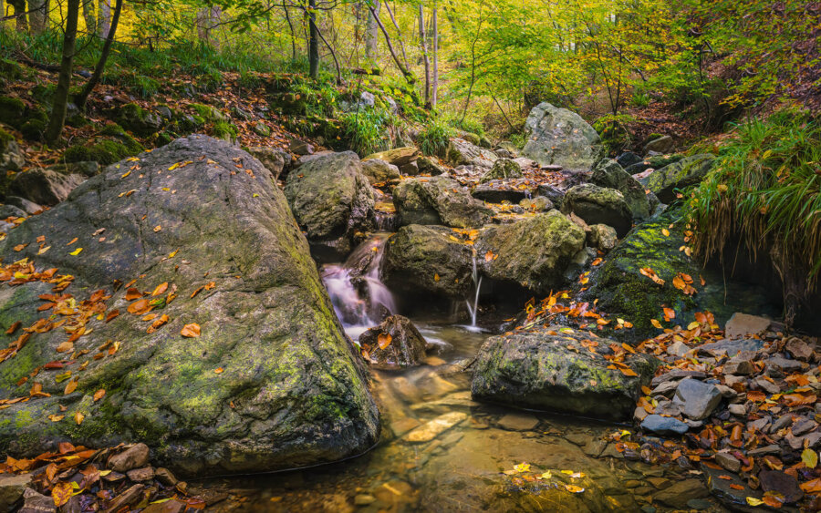 Ardennen, België