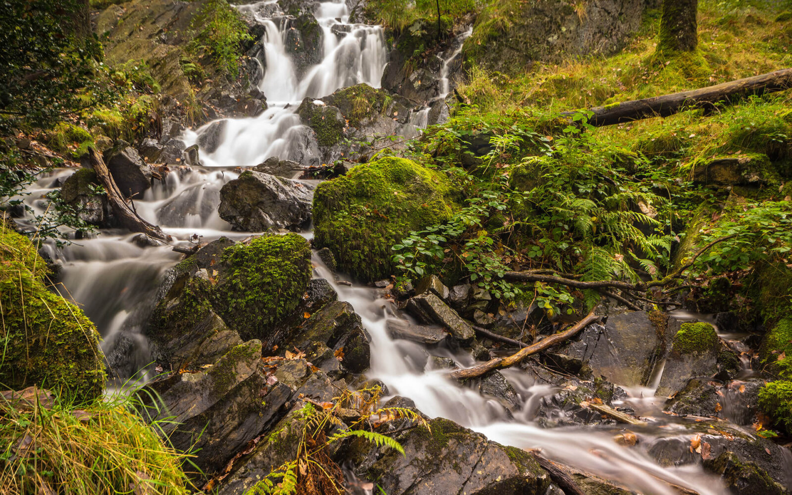 De Tom Gill waterval midden in het Lake District, vlakbij Ambleside.