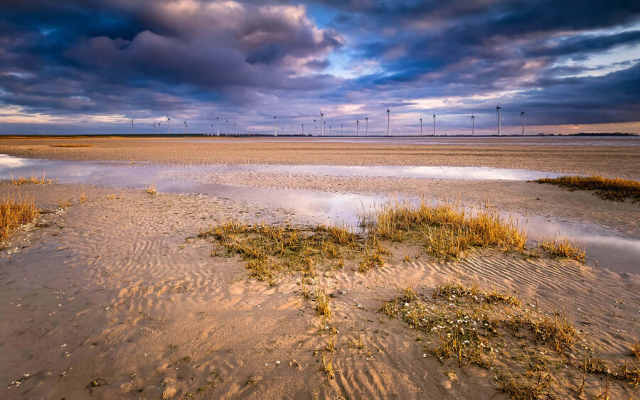 NP Oosterschelde Zeeland, Nederland