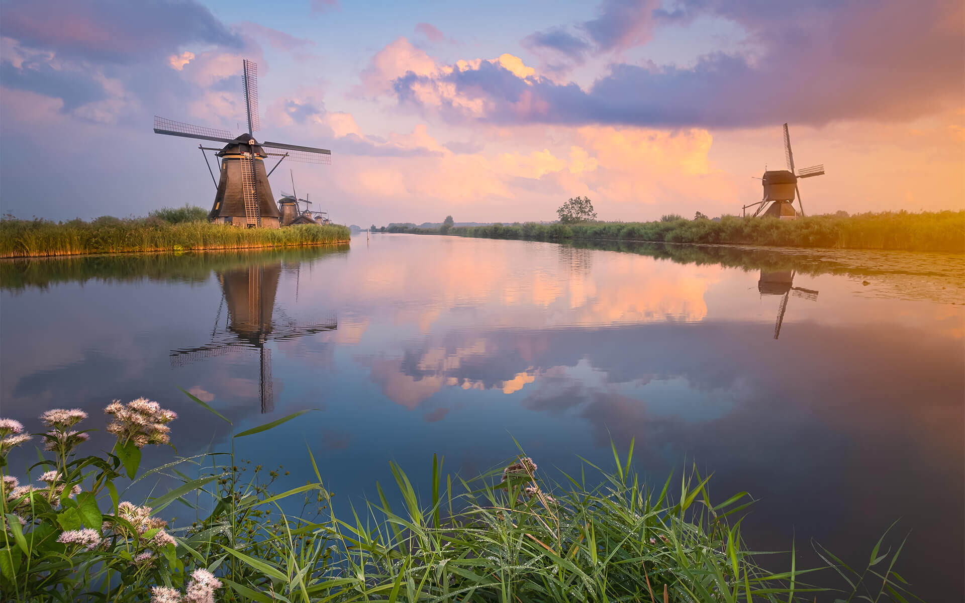 Kinderdijk