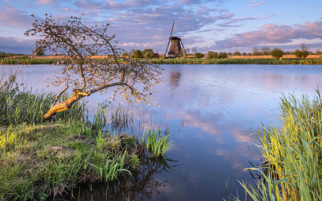 Kinderdijk