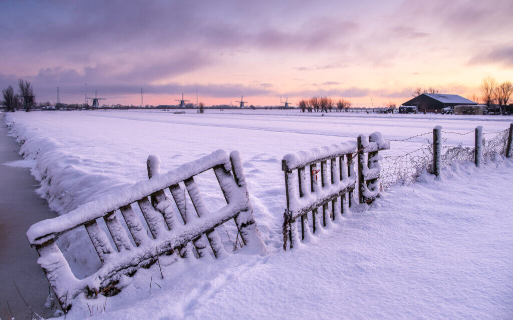 Winterse polder bij Alblasserdam, sneeuw en zonsopkomst achter een houten hek met uitzicht op molens van Kinderdijk.