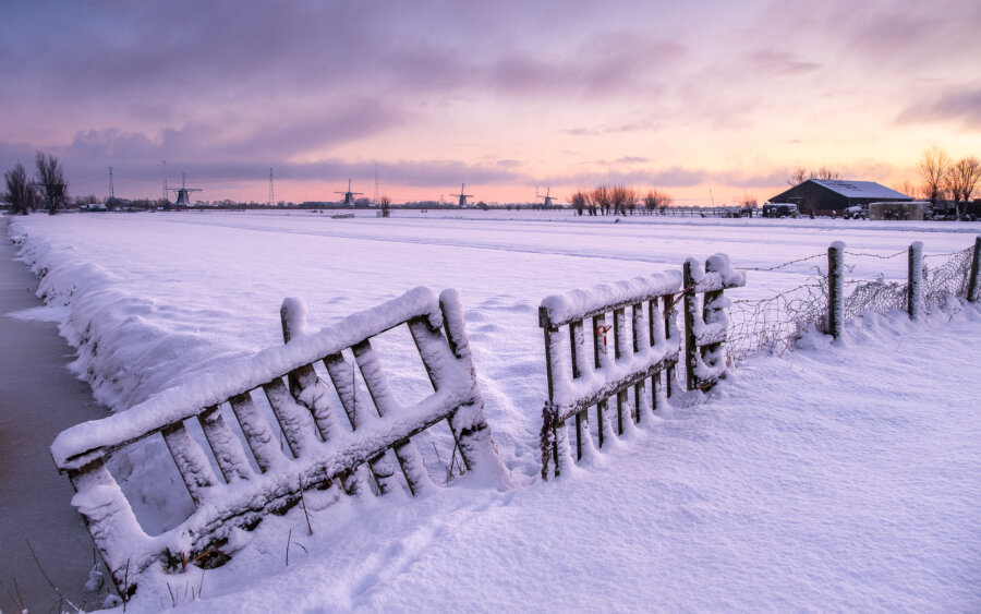 Winterse polder bij Alblasserdam, sneeuw en zonsopkomst achter een houten hek met uitzicht op molens van Kinderdijk.