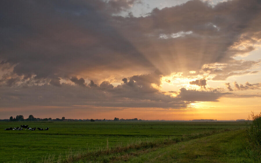 Prachtige zonneharp boven de weilanden van De Donkse Laagte.