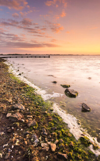 Op een prachtige voorjaarsavond bij het Grevelingenmeer, in de buurt van Bruinisse.