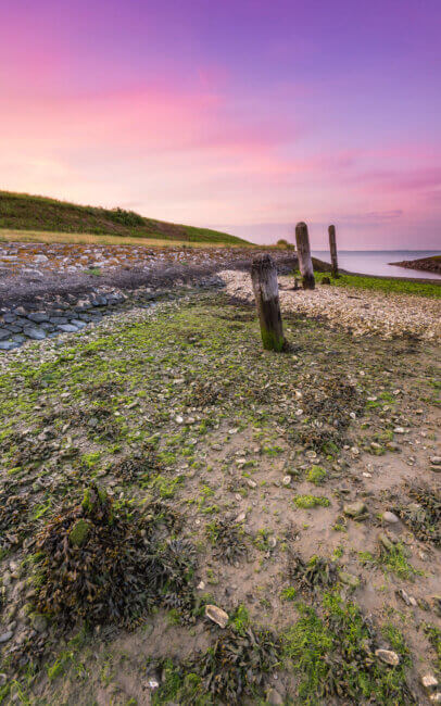 De Oesterput, in de buurt van Colijnsplaat, tijdens het lage tij van de Oosterschelde.