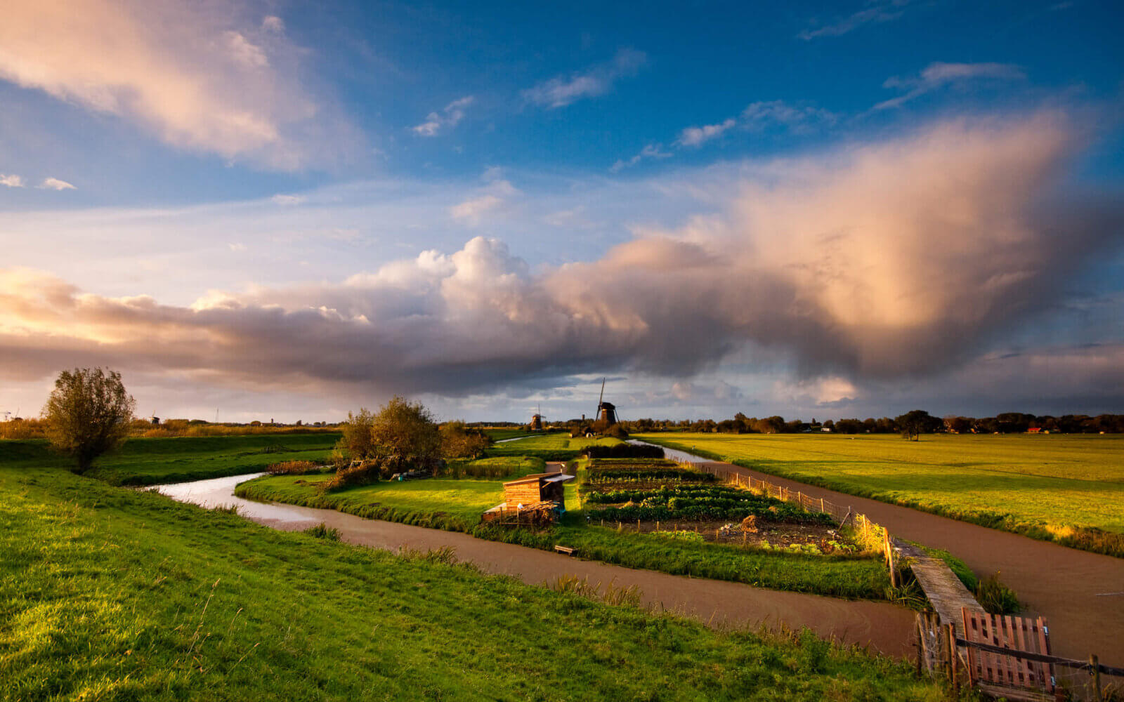 Kinderdijk De moestuinen tussen Kinderdijk en Nieuw-Lekkerland, met een typische Hollandse lucht.