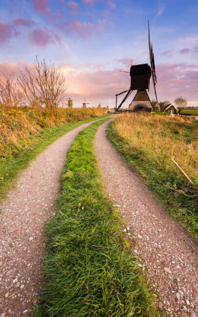 Het trekkers pad naar een molen op Kinderdijk.