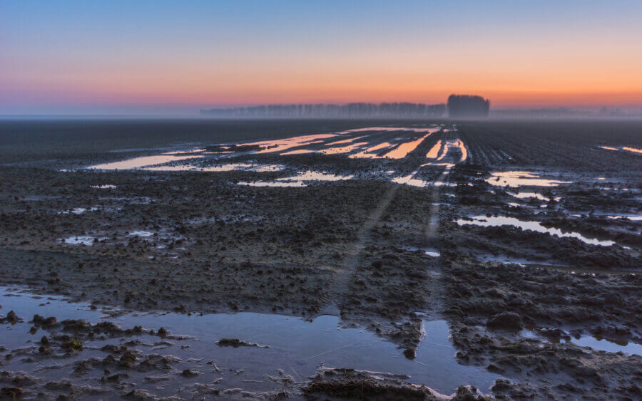 Een akker met trekker sporen en waterplassen bij Wilhelminadorp.