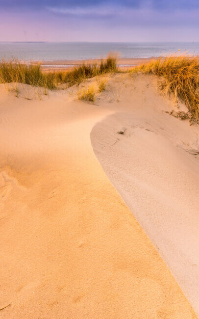 Een duin bij Westenschouwen.