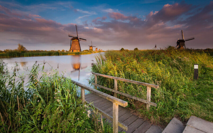 Kinderdijk Op een prachtige zomeravond bij de molens van Kinderdijk. Bij een steiger waar je naar het water kan lopen om de molens nog beter te kunnen zien.