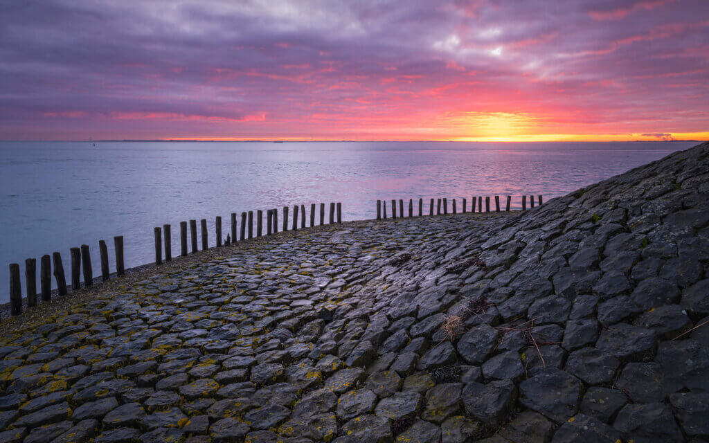 Kats Op een prachtige ochtend bij de Oosterschelde in de buurt van Kats.