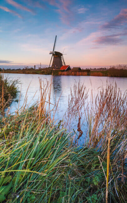 Net over het riet zien we aan de overkant een Kinderdijkse molen staan.