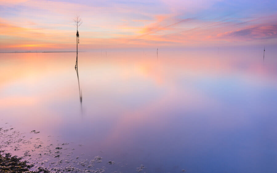 Op een rustige, windstille, serene ochtend met zonsopkomst aan de Oosterschelde.
