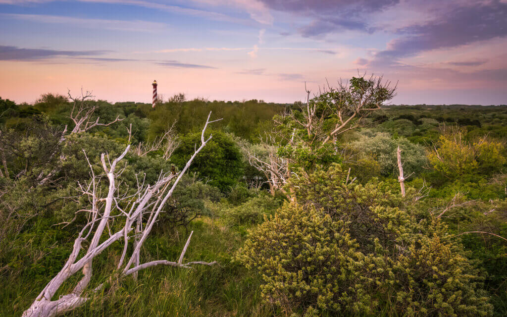 Op de duinen bij Burgh-Haamstede, met zicht op de vuurtoren, tijdens zonsondergang.