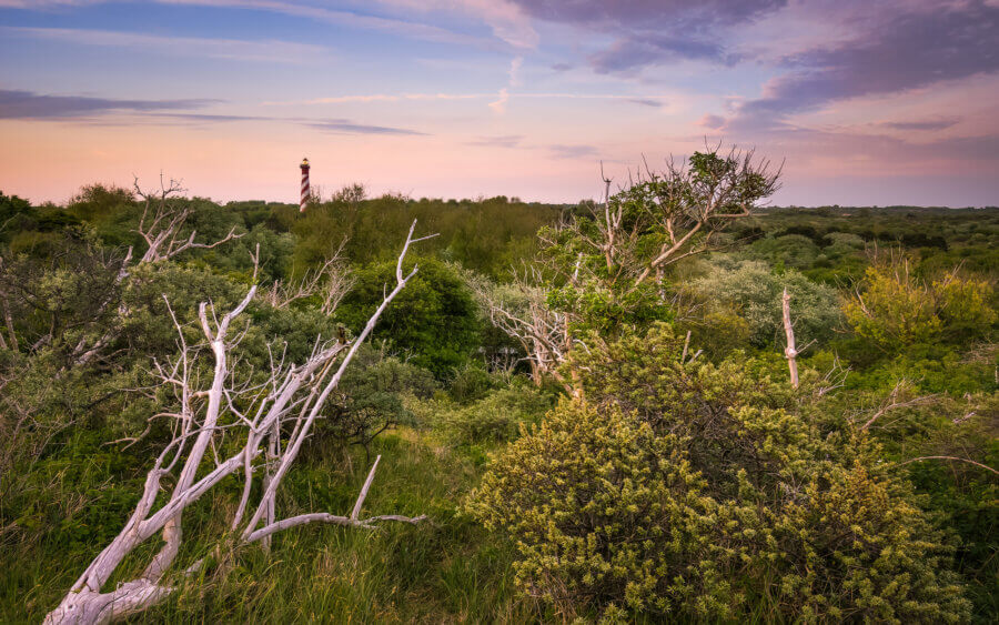 Op de duinen bij Burgh-Haamstede, met zicht op de vuurtoren, tijdens zonsondergang.