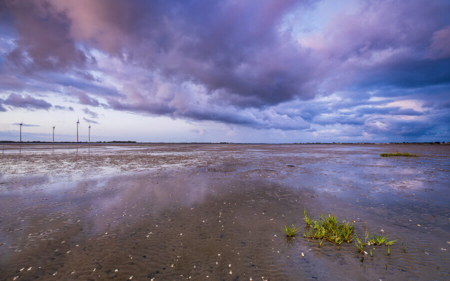 Bruinisse Prachtige wolkenlucht, nog voor zonsopkomst, op het drooggevallen land van de Oosterschelde tijdens eb.