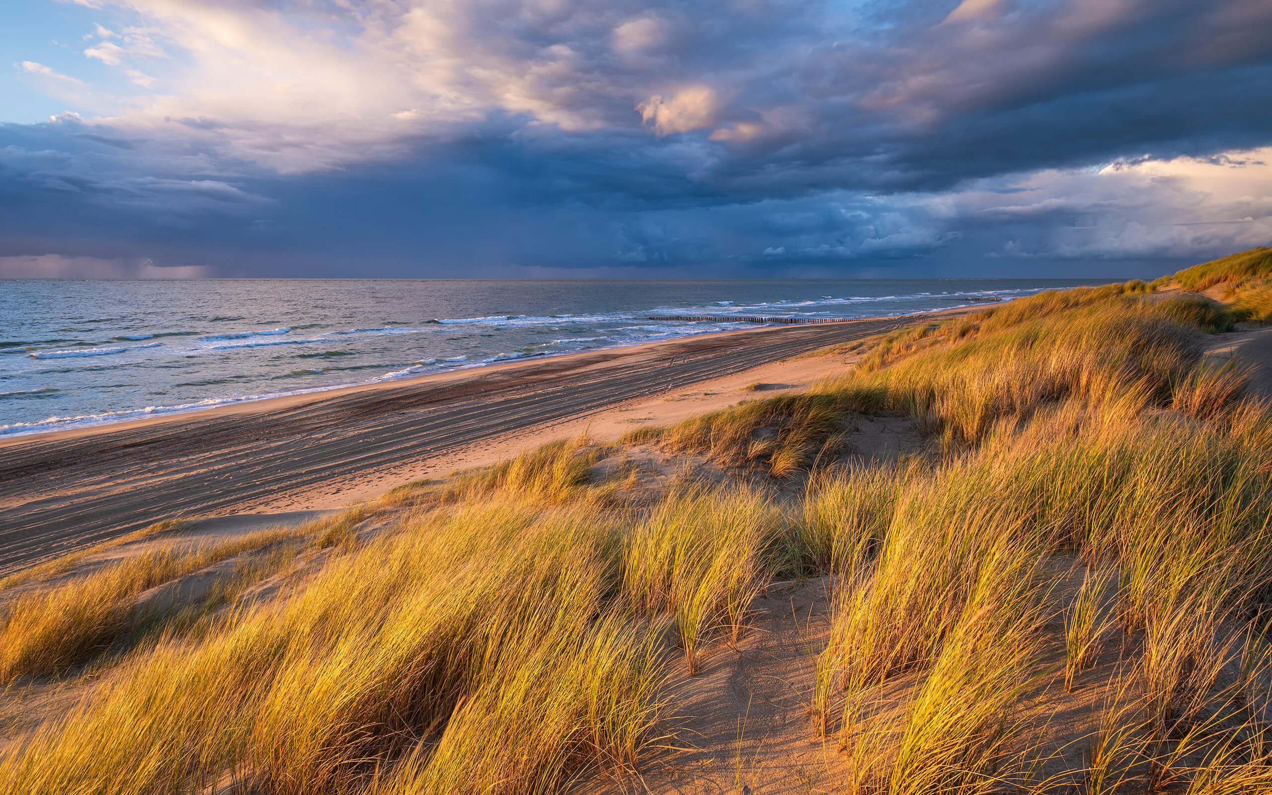 De gouden duinen bij Burgh-Haamstede De gouden duinen bij Burgh-Haamstede